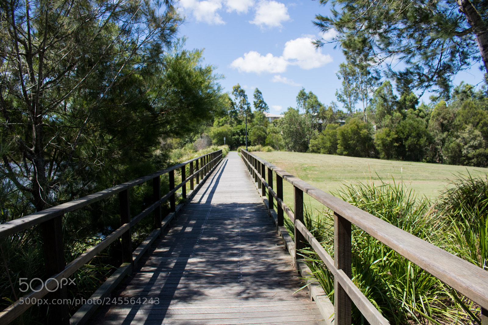 Canon EOS 750D (EOS Rebel T6i / EOS Kiss X8i) sample photo. Bridge photography