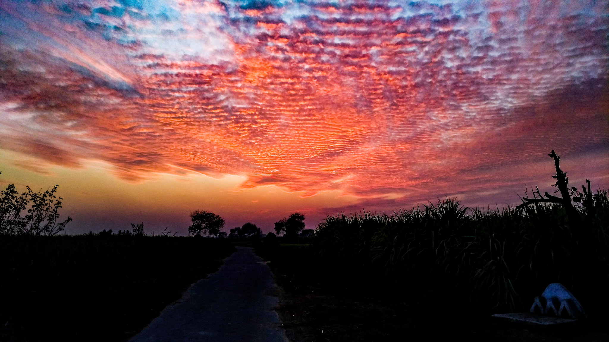 ASUS Z017DB sample photo. The cloudy sunset photography
