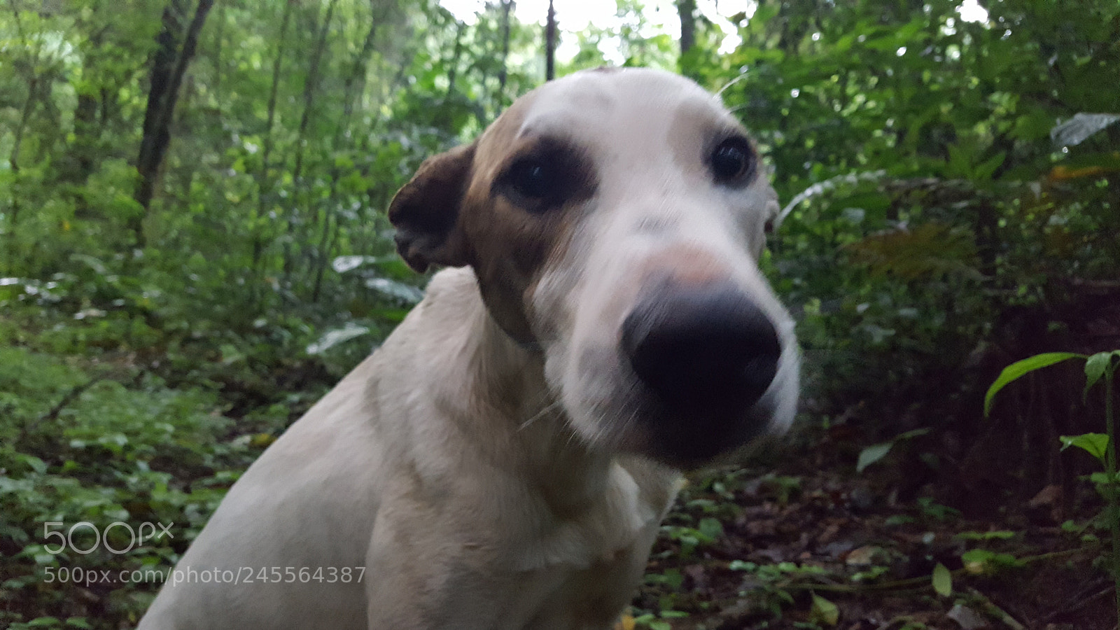 Samsung GALAXY S6 edge sample photo. Untitled photography