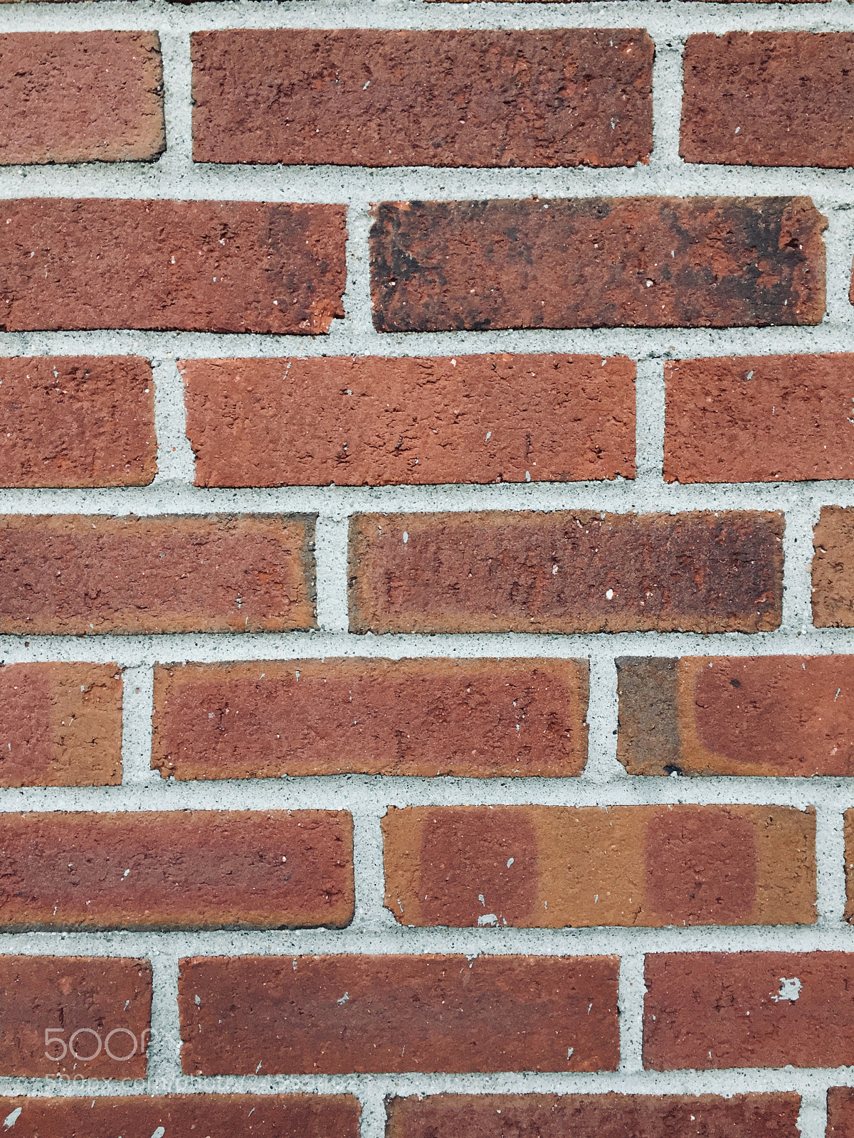 Apple iPhone 6 sample photo. #brick #wall #artsy photography