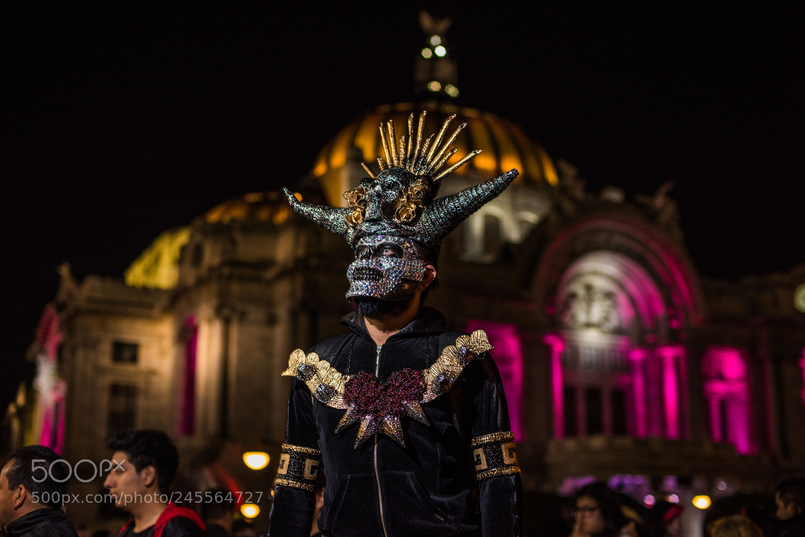 Nikon D810 sample photo. Untitled photography