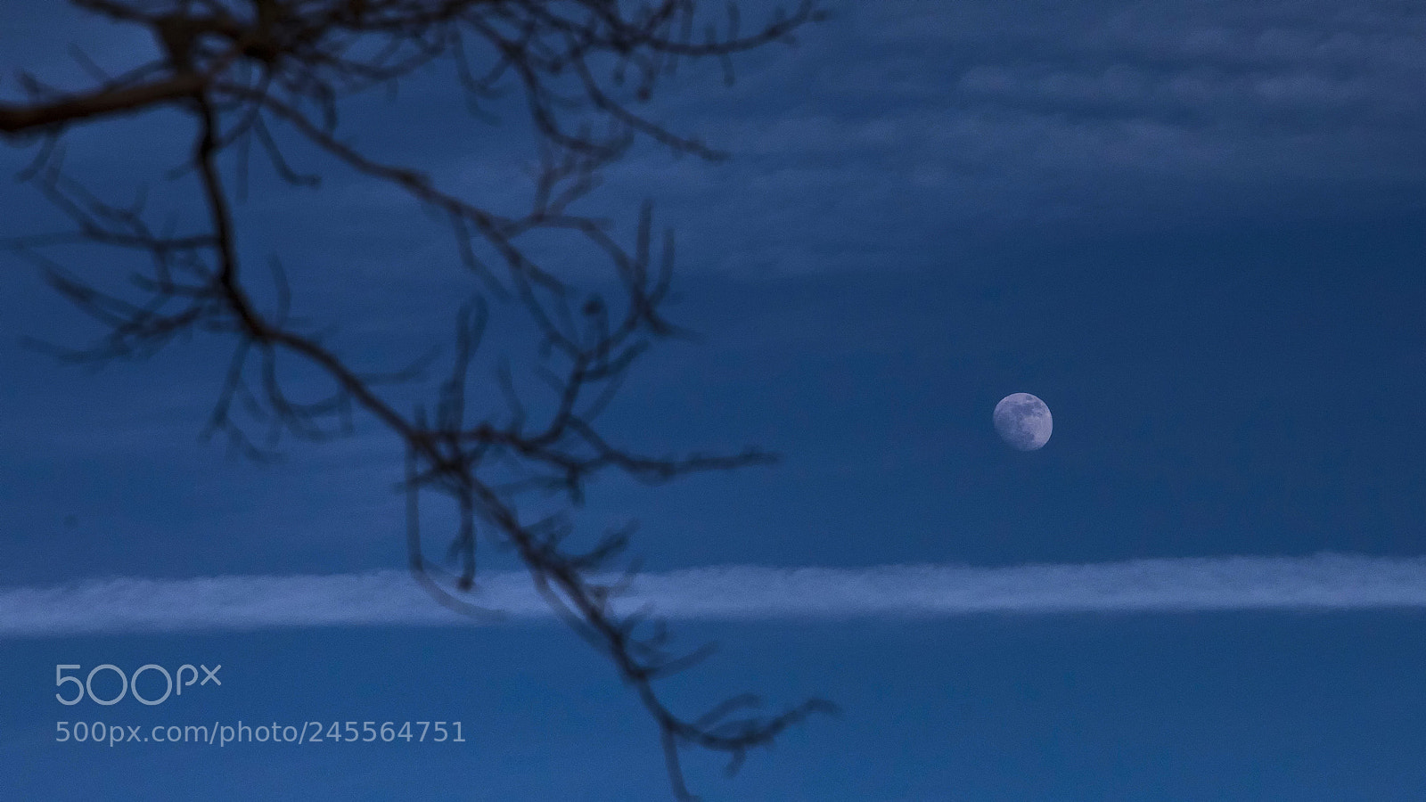 Canon EOS 6D Mark II sample photo. Moon in the early photography
