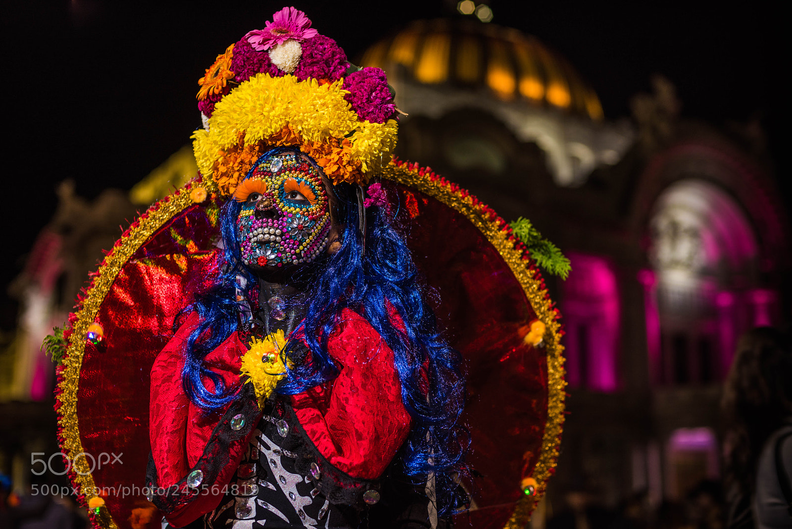Nikon D810 sample photo. Untitled photography