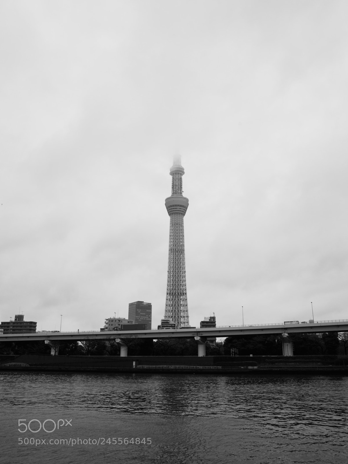 Ricoh GR sample photo. Untitled photography