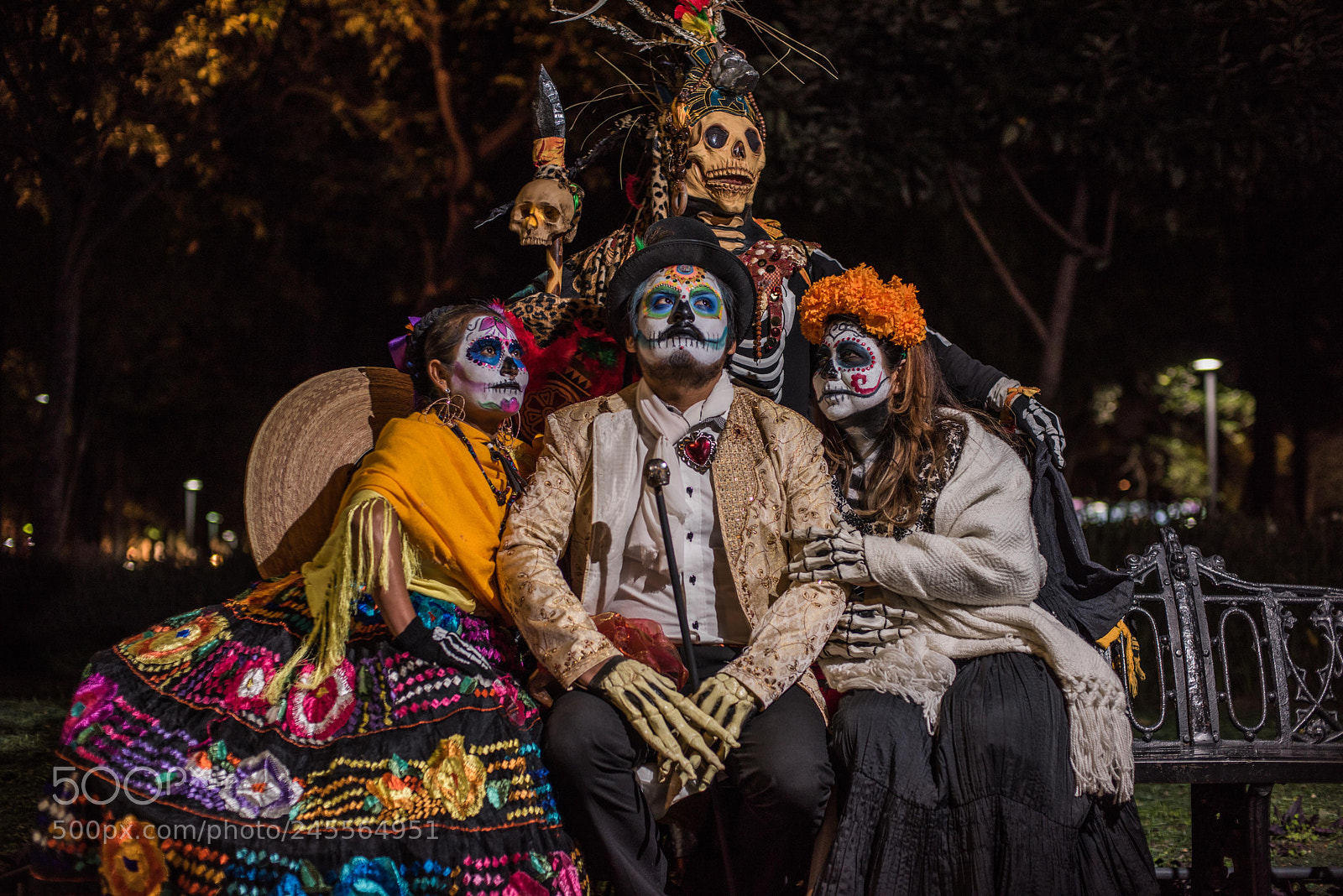 Nikon D810 sample photo. Untitled photography