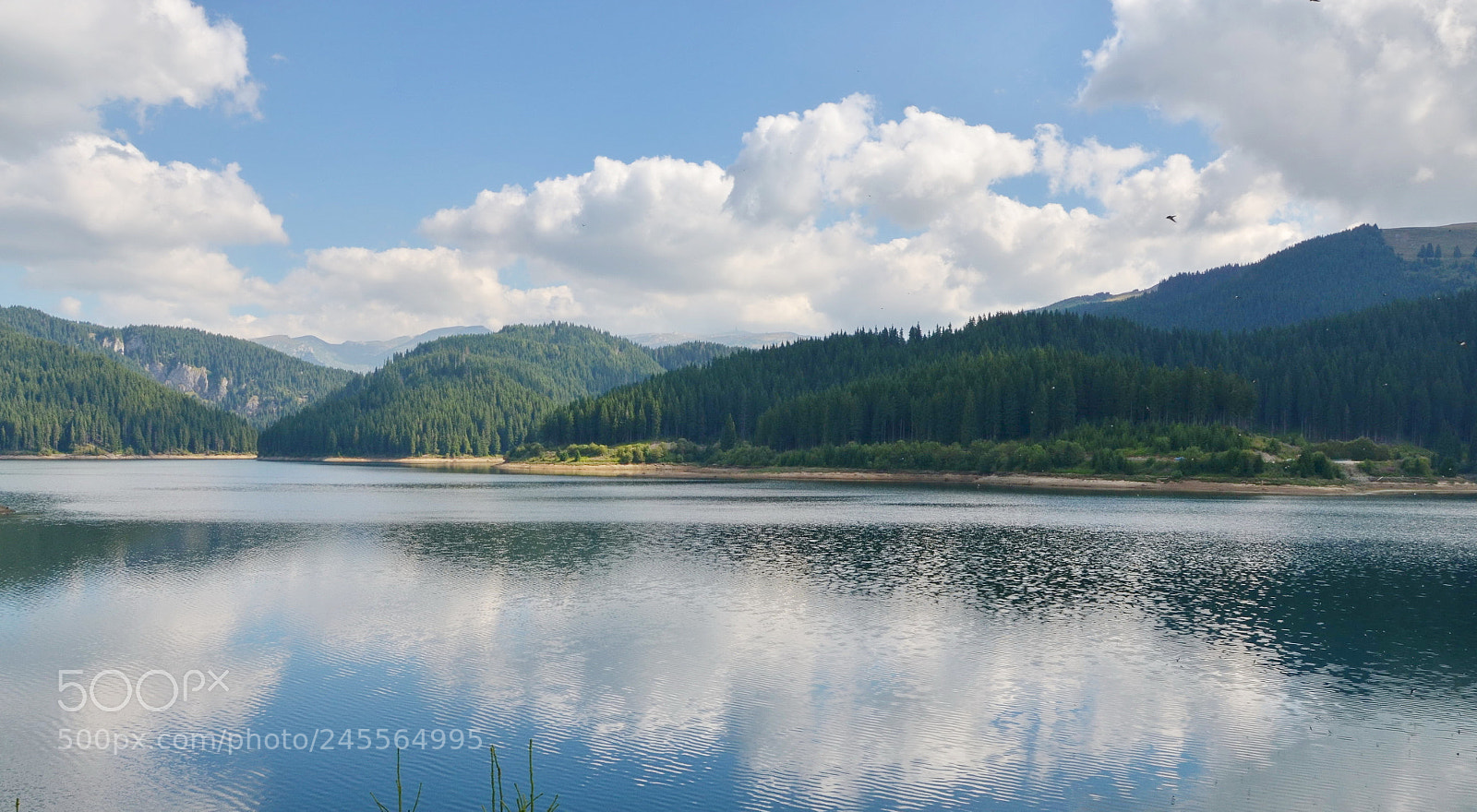 Nikon D5100 sample photo. Reflection photography