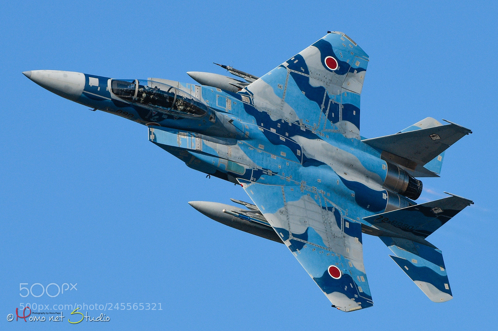 Nikon D850 sample photo. Aggressor #2 photography