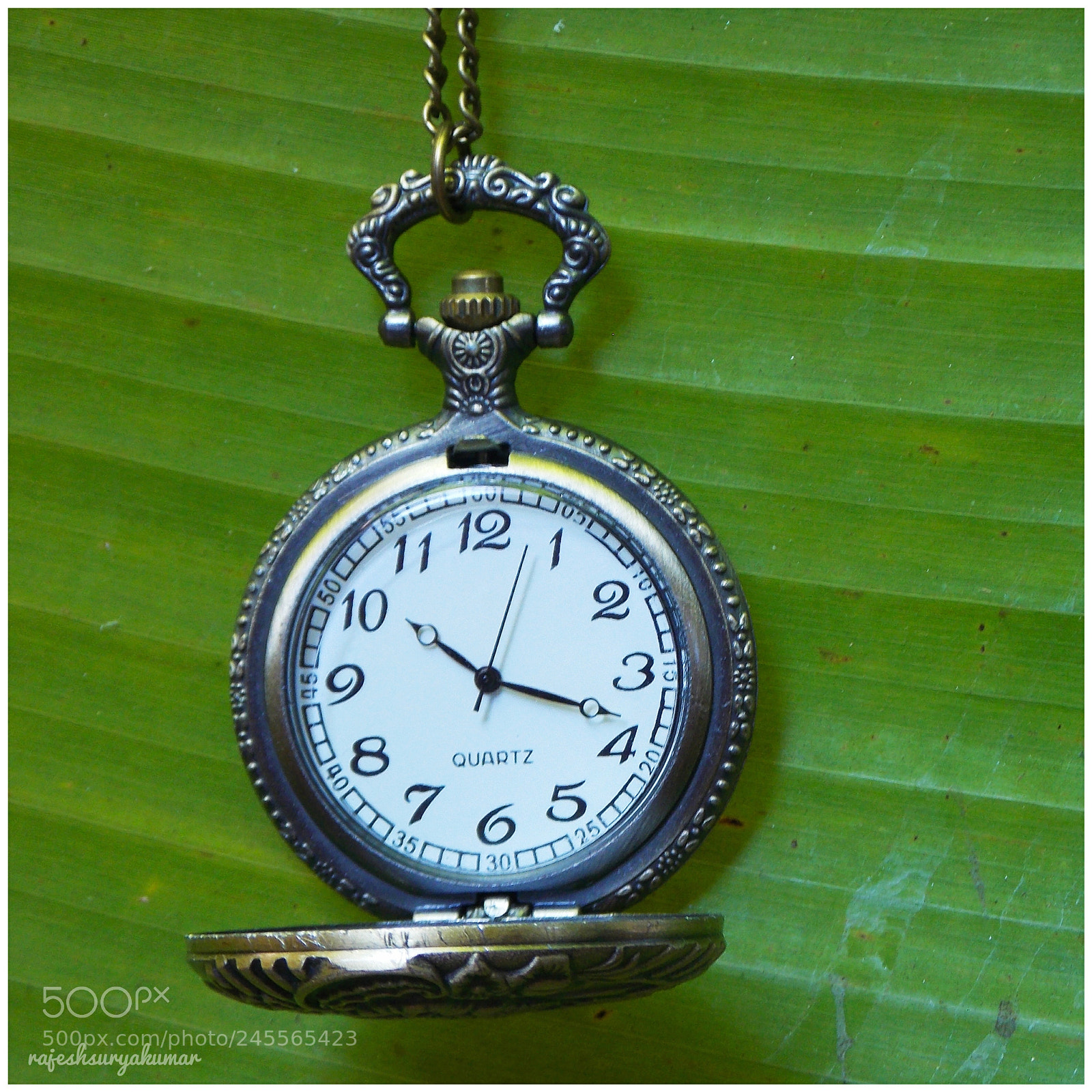 Nikon Coolpix L810 sample photo. Pocket watch photography