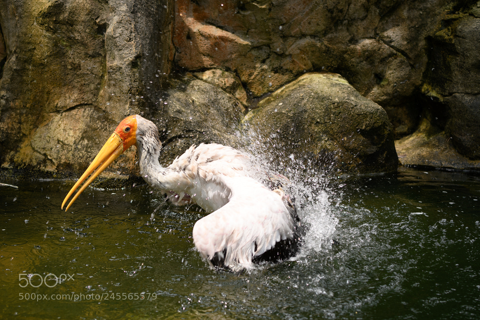 Nikon D7500 sample photo. Washing photography