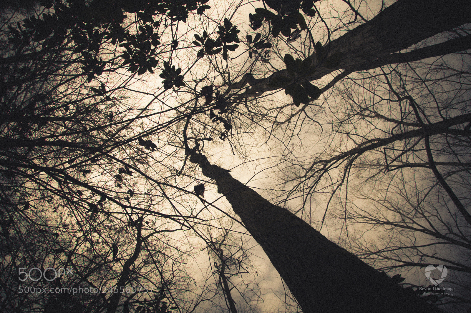 Pentax K-3 sample photo. Duff photography