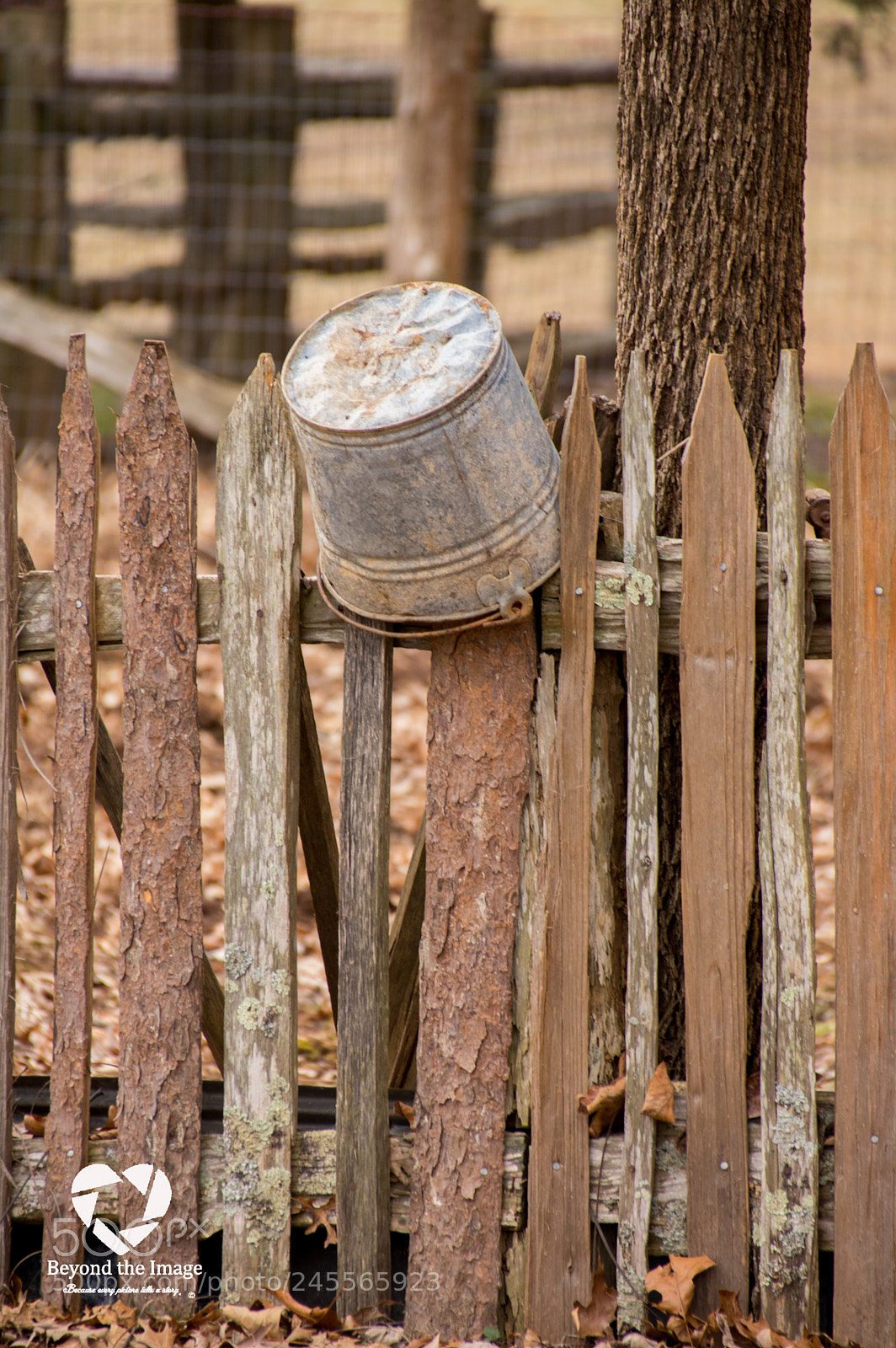 Pentax K-3 sample photo. Museum of appalachia photography