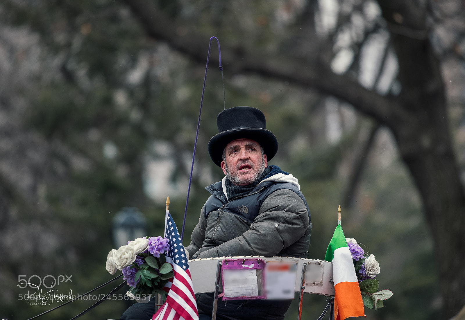 Nikon D850 sample photo. Central park carriage driver photography