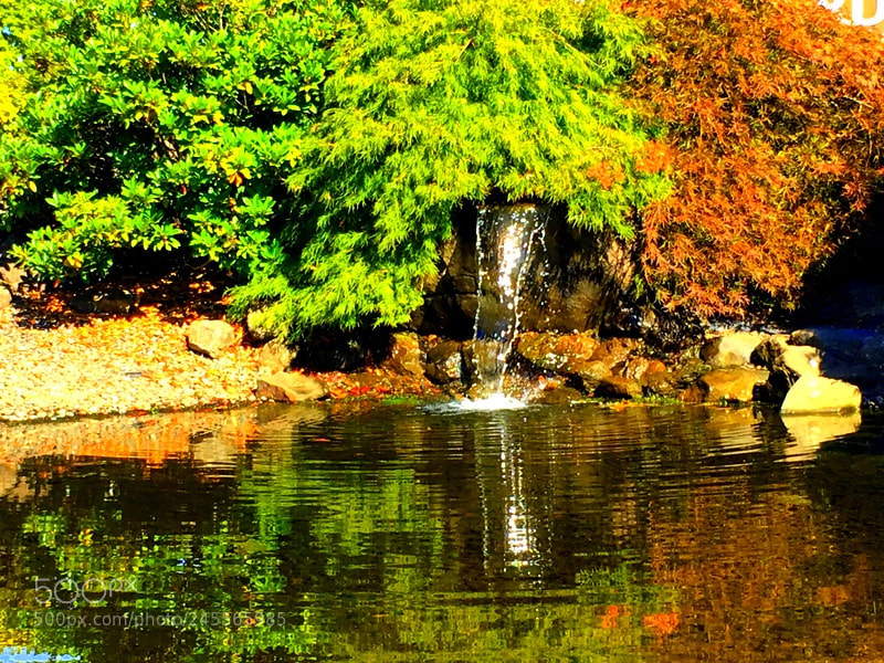 Apple iPhone 6s sample photo. Autumn reflections photography