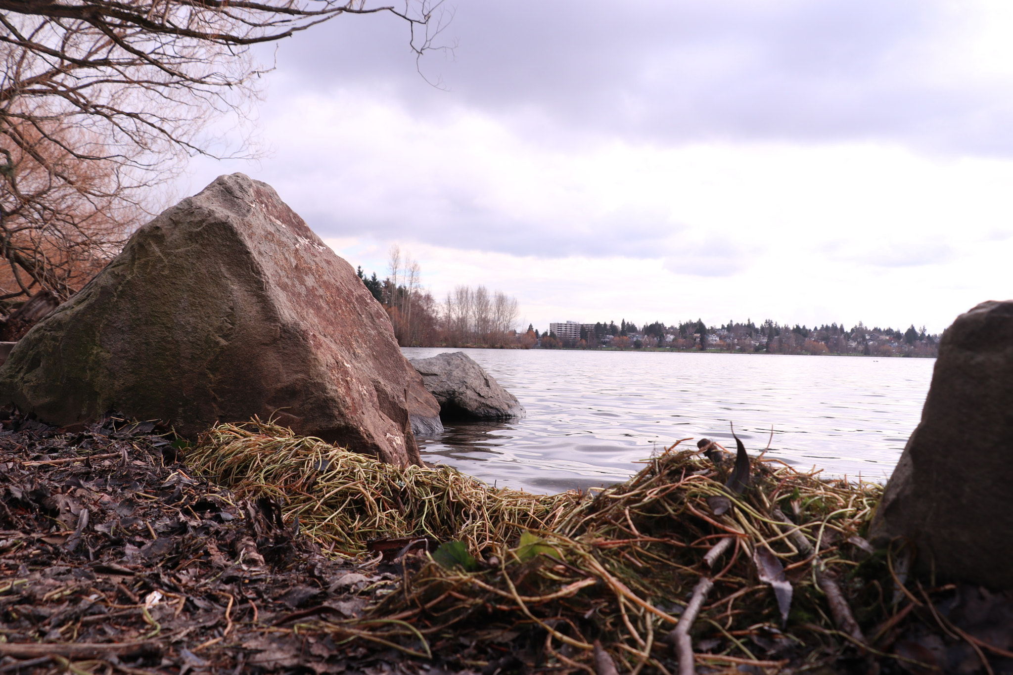 Canon EOS M5 sample photo. Nonsense photography