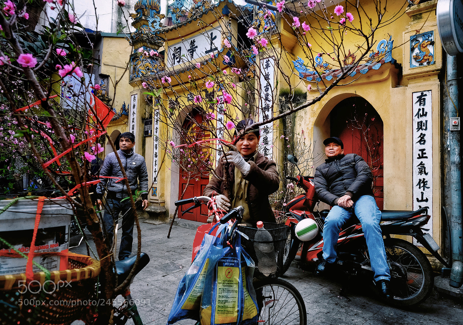 Fujifilm X-T20 sample photo. Untitled photography