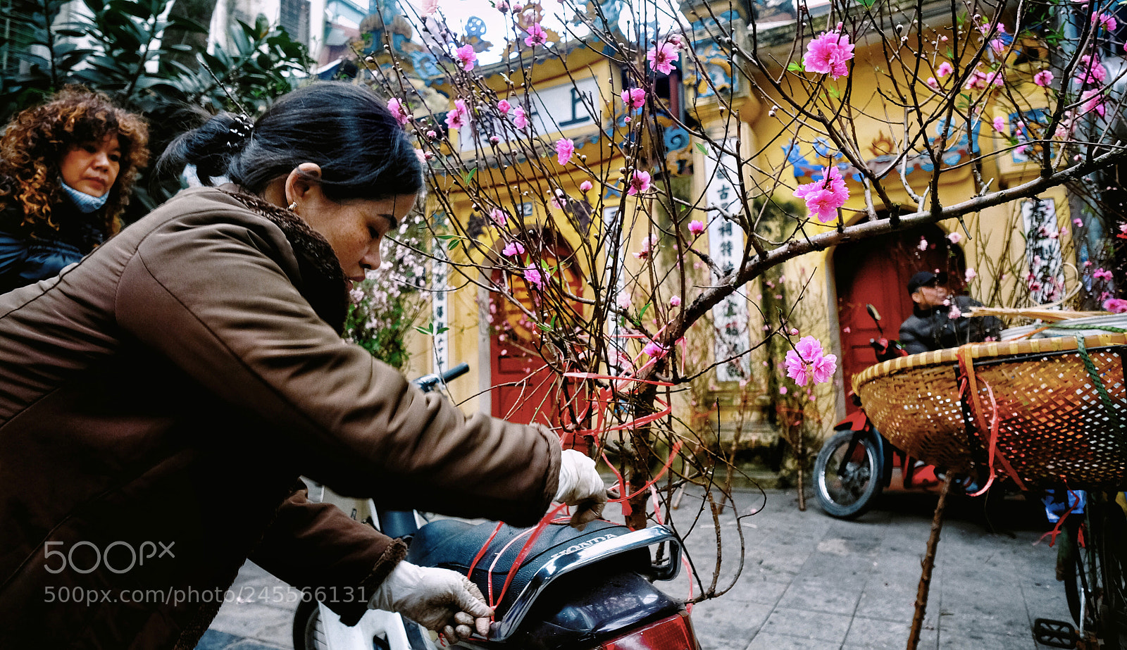 Fujifilm X-T20 sample photo. Untitled photography