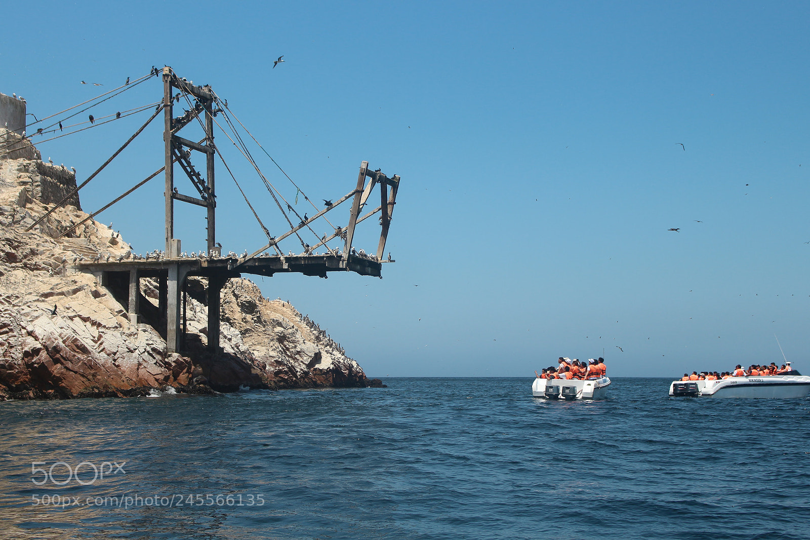 Canon EOS 700D (EOS Rebel T5i / EOS Kiss X7i) sample photo. Islas ballestas photography