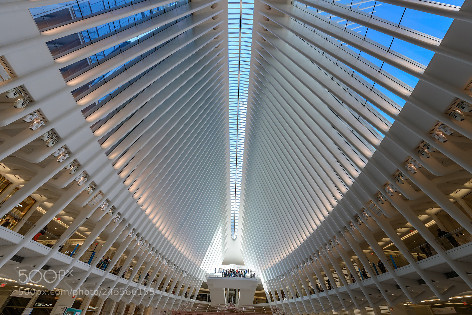 Nikon D800 sample photo. New york, ny, usa photography
