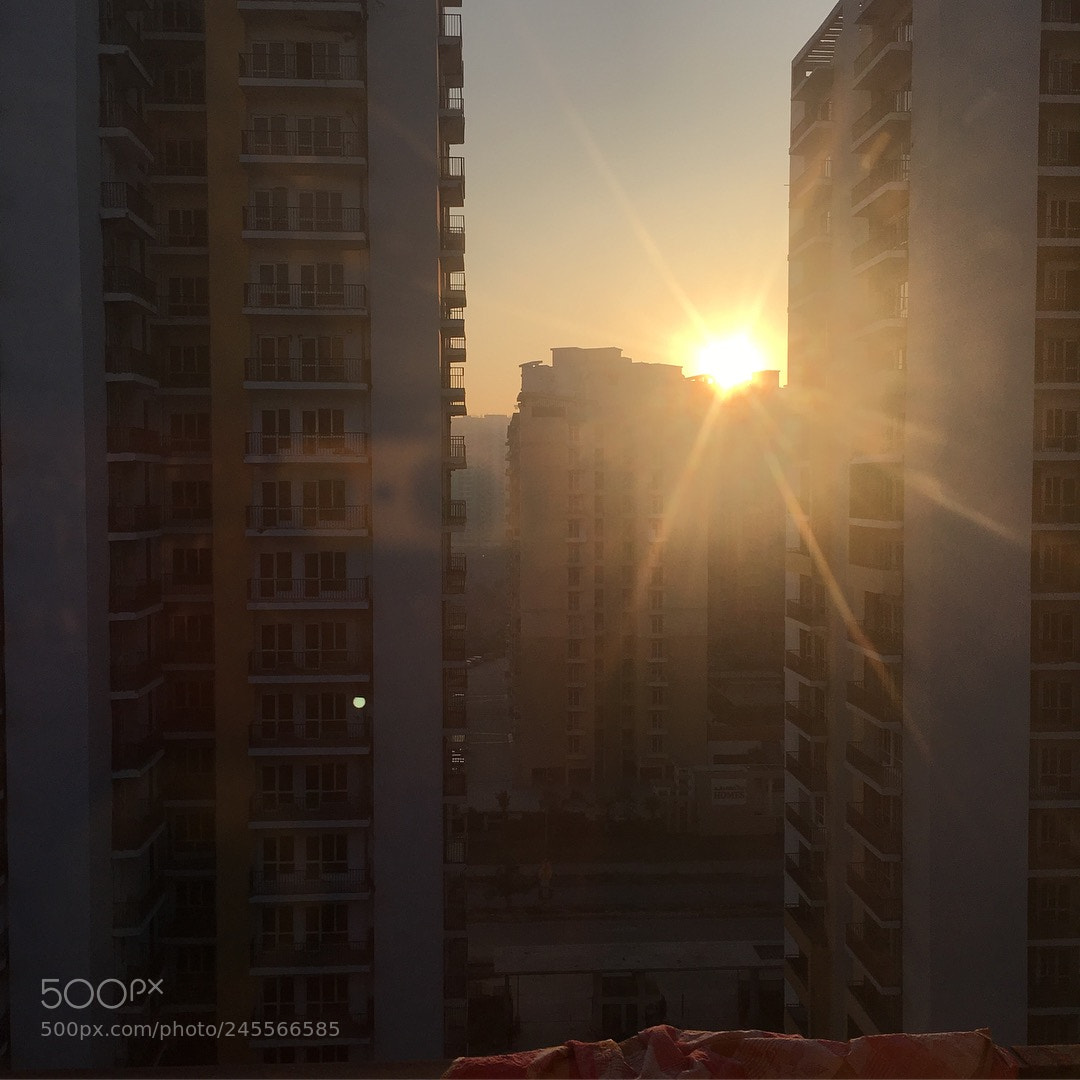 Apple iPhone 6s sample photo. Good morning photography
