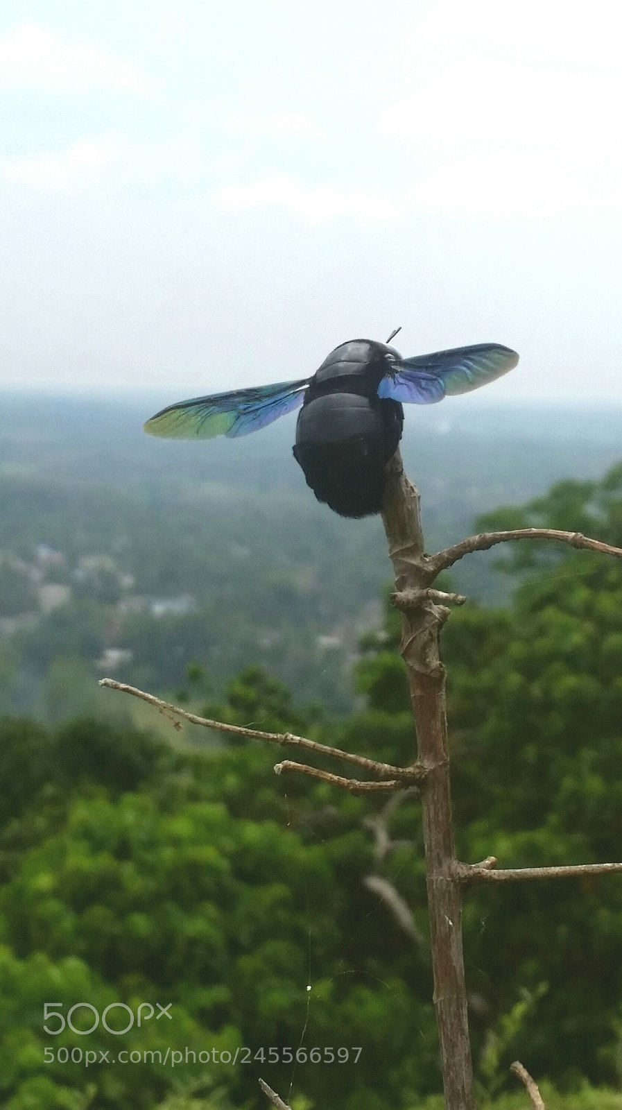 Samsung Galaxy S5 sample photo. Never-ending photography