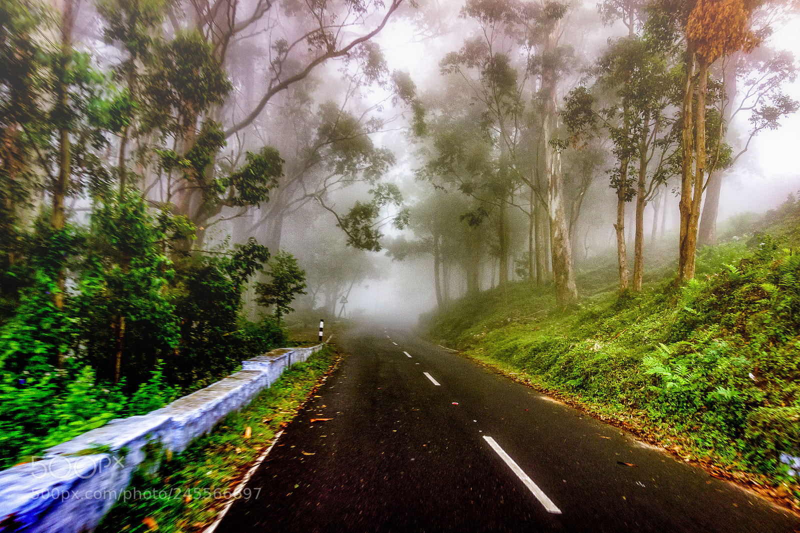 Sony Cyber-shot DSC-RX100 sample photo. Misty hills photography