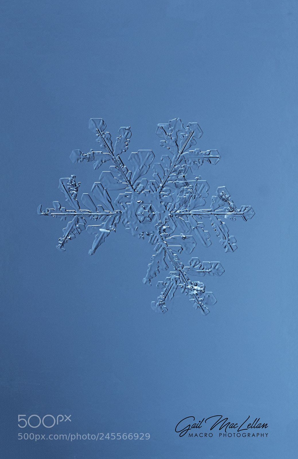 Canon EOS 7D Mark II sample photo. Blue ice photography