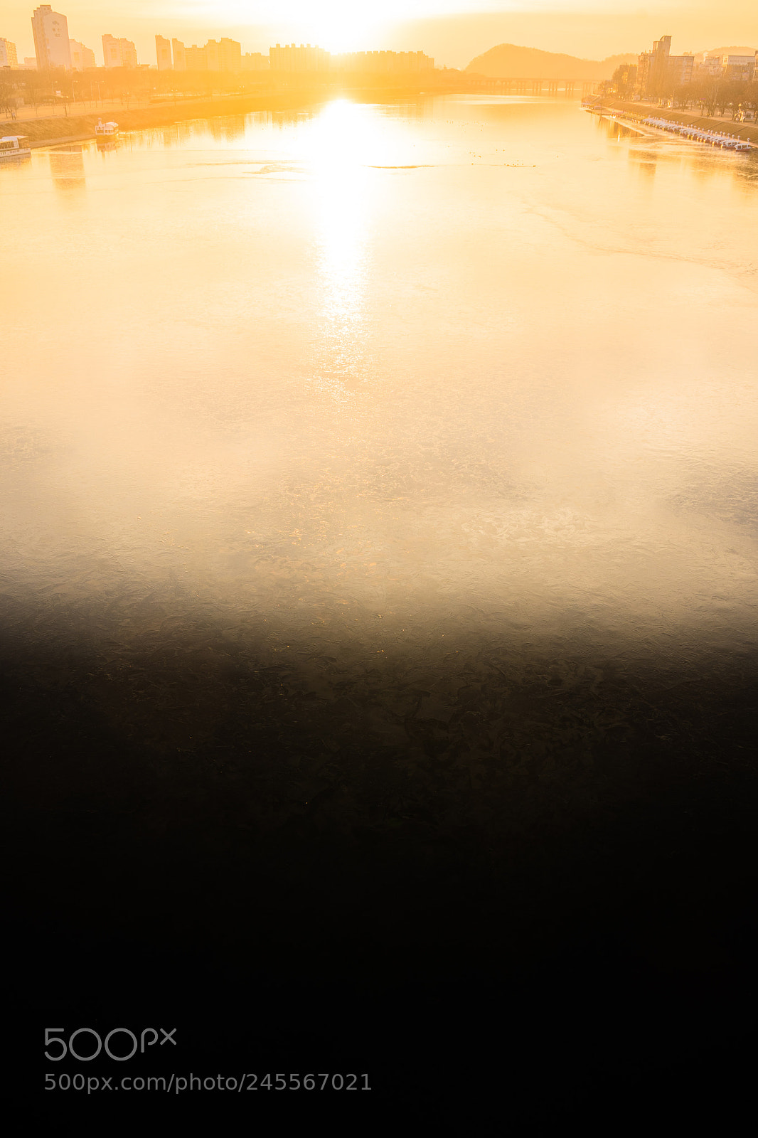 Sony a7 II sample photo. Untitled photography