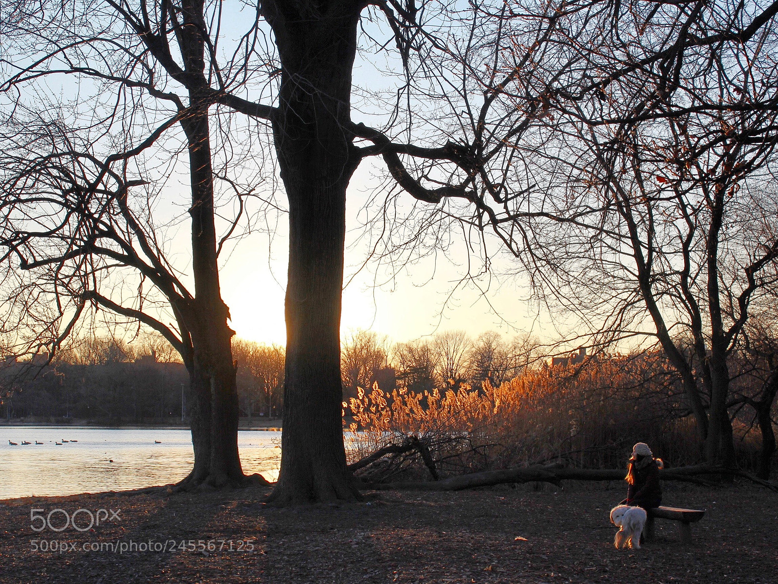 Canon EOS 600D (Rebel EOS T3i / EOS Kiss X5) sample photo. Fading light photography