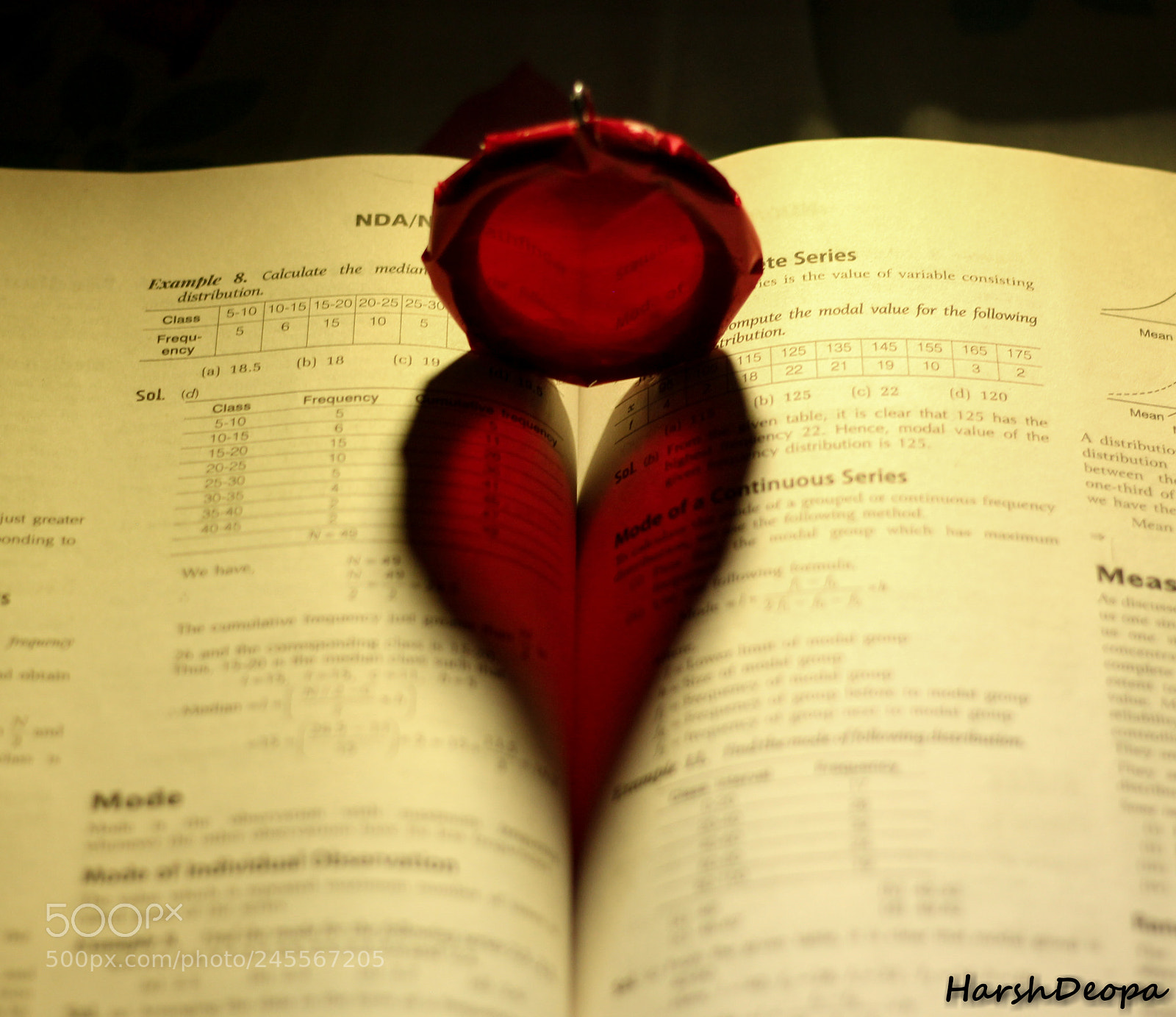 Canon EOS 550D (EOS Rebel T2i / EOS Kiss X4) sample photo. Finding a heart in photography