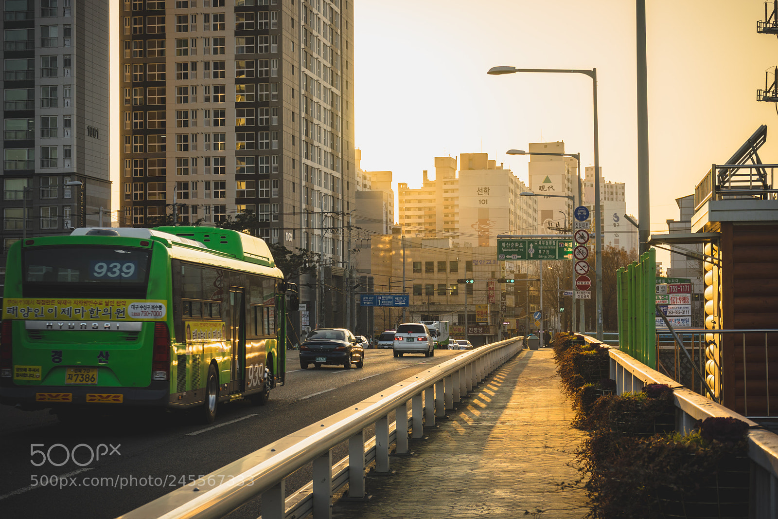 Sony a7 II sample photo. Untitled photography