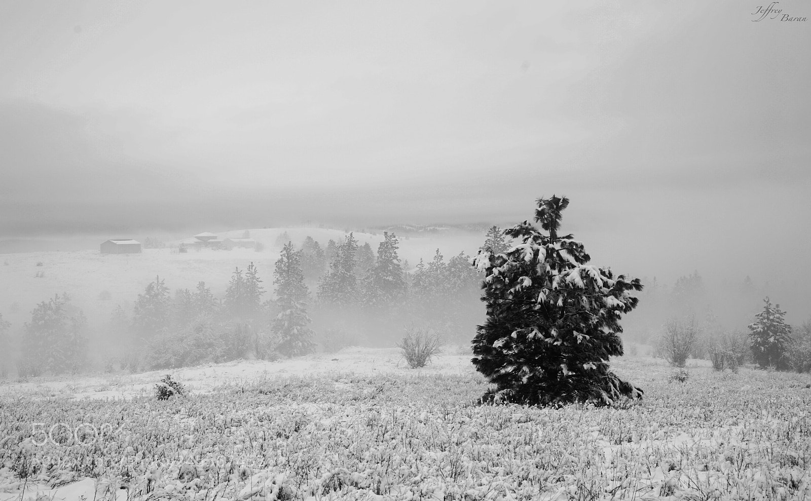 Sony a7 II sample photo. Winter fog photography