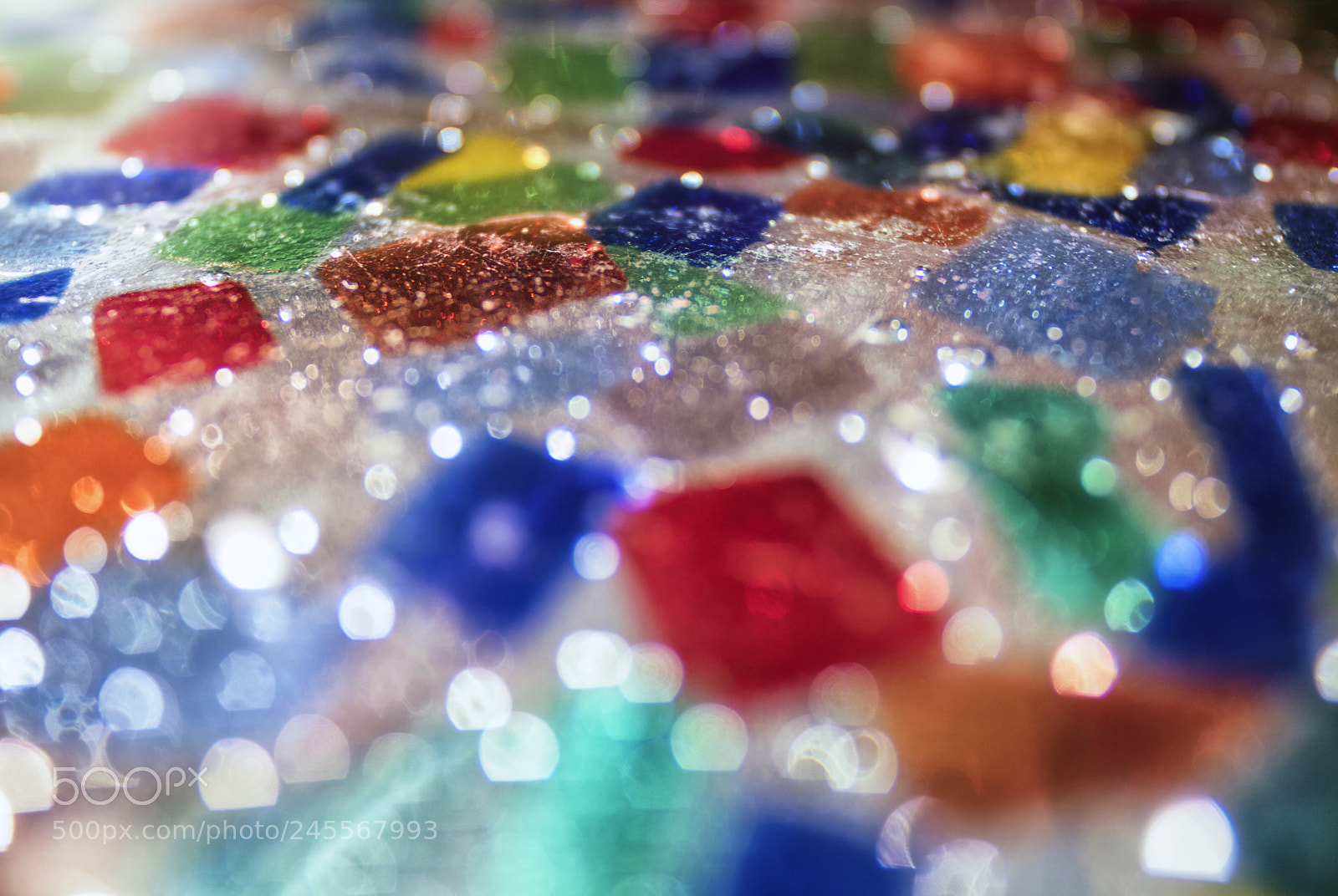 Canon EOS 750D (EOS Rebel T6i / EOS Kiss X8i) sample photo. Candyland photography