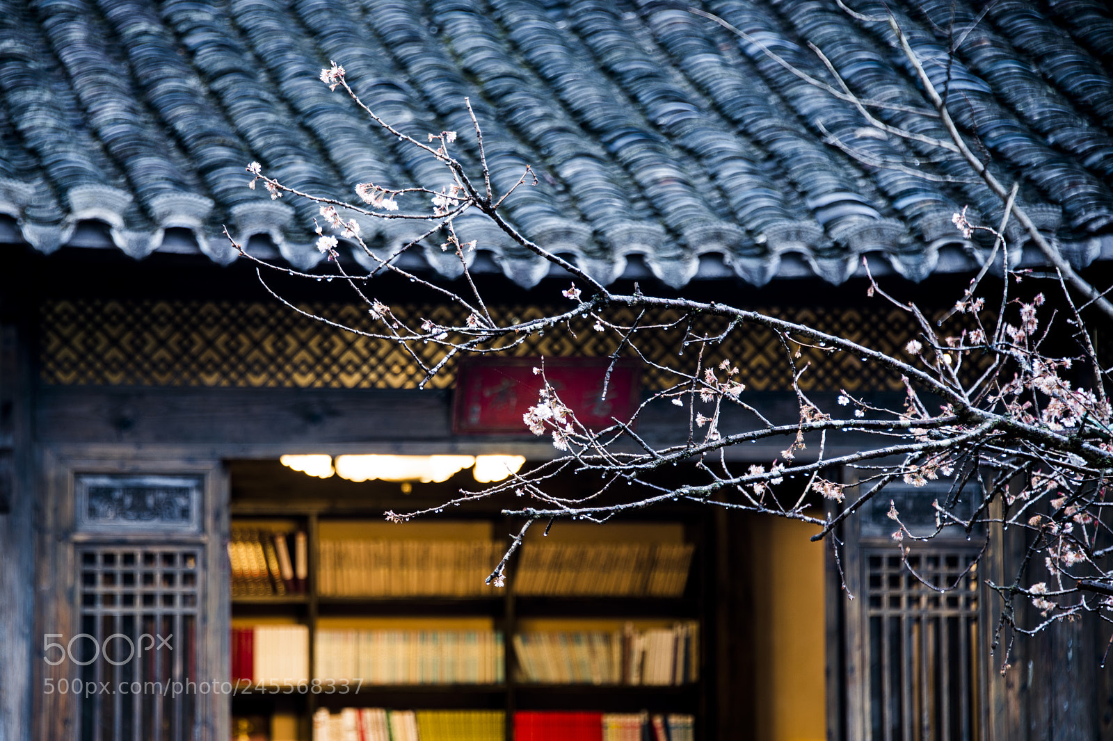 Nikon D800 sample photo. Light of reading photography