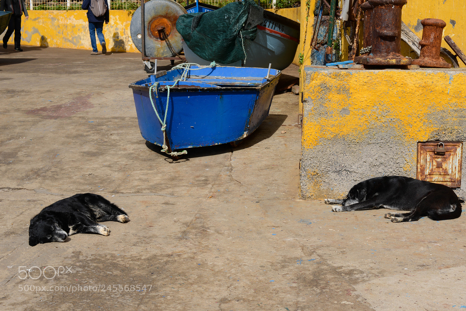 Nikon D800 sample photo. Blue boats photography