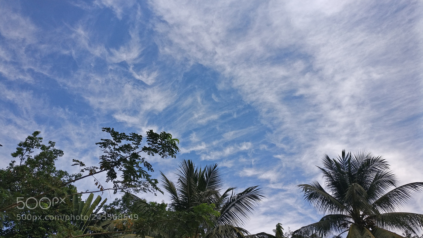 OnePlus A3003 sample photo. Lovely morning photography