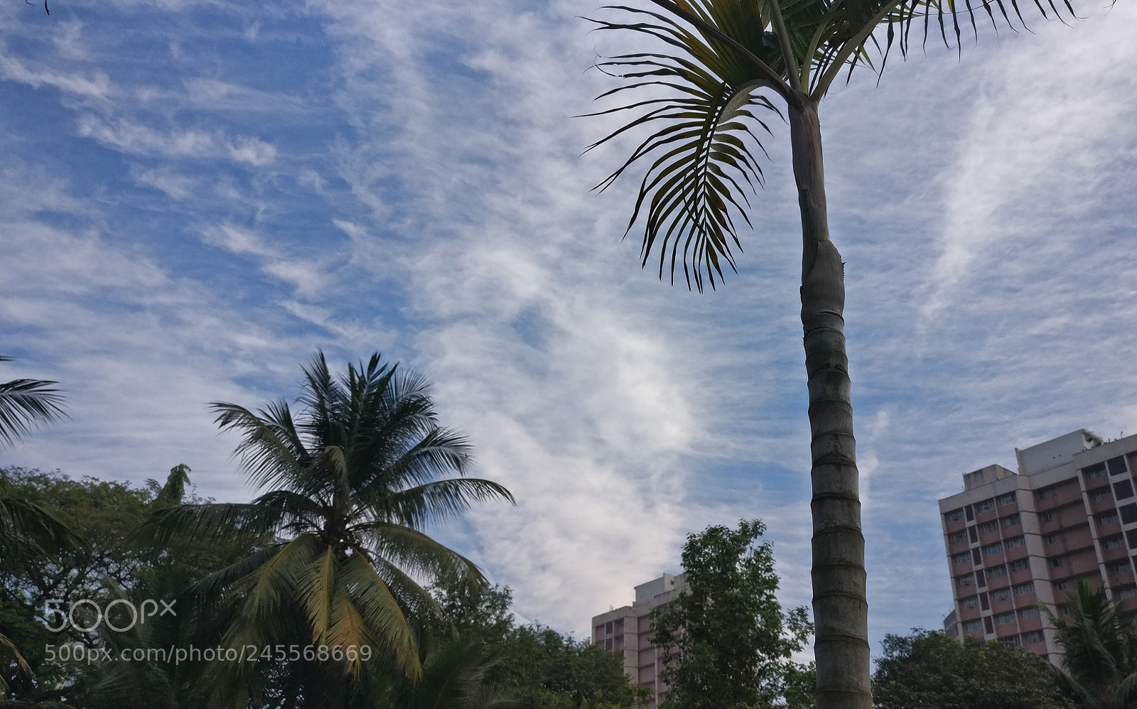 OnePlus A3003 sample photo. Lovely morning 2 photography