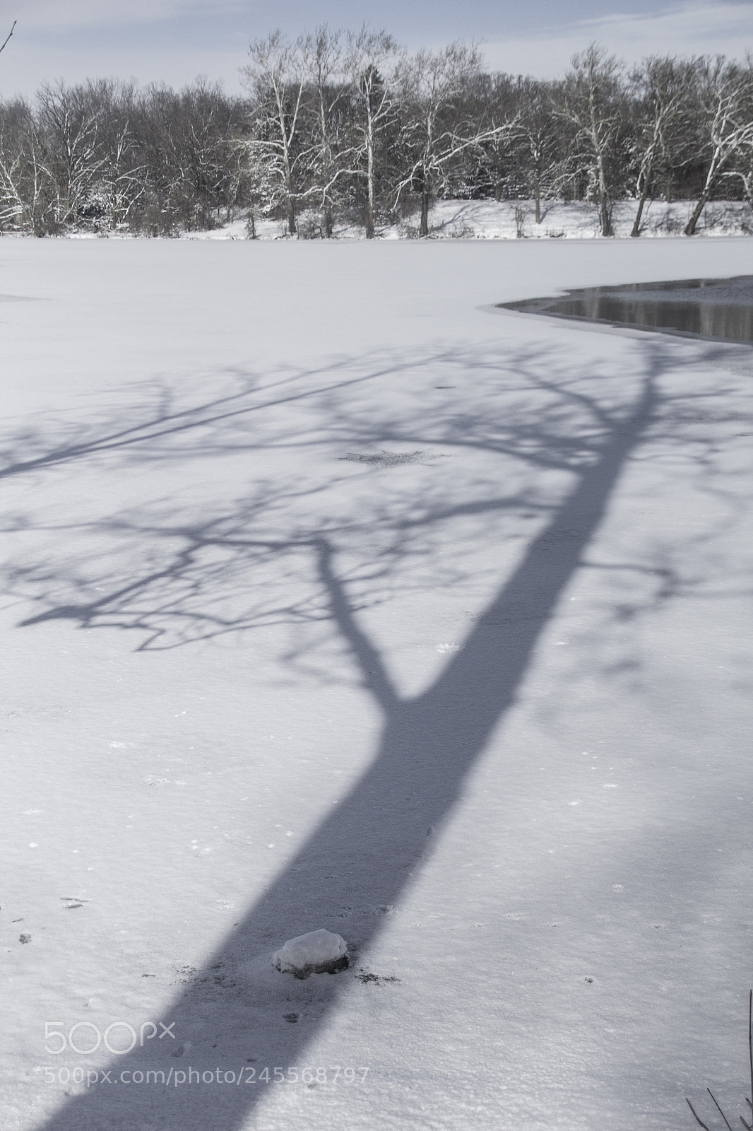 Canon EOS 1200D (EOS Rebel T5 / EOS Kiss X70 / EOS Hi) sample photo. Tree shadow and lake photography