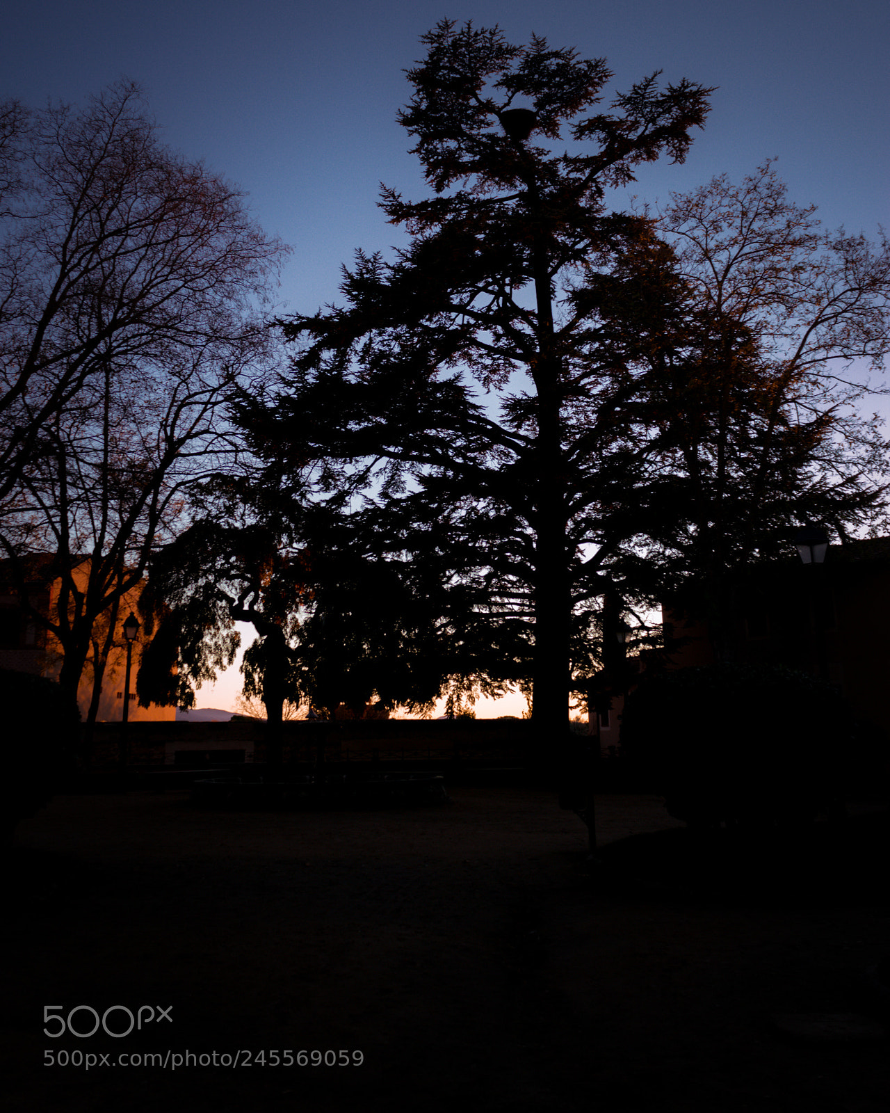 Canon EOS 550D (EOS Rebel T2i / EOS Kiss X4) sample photo. Sunset photography