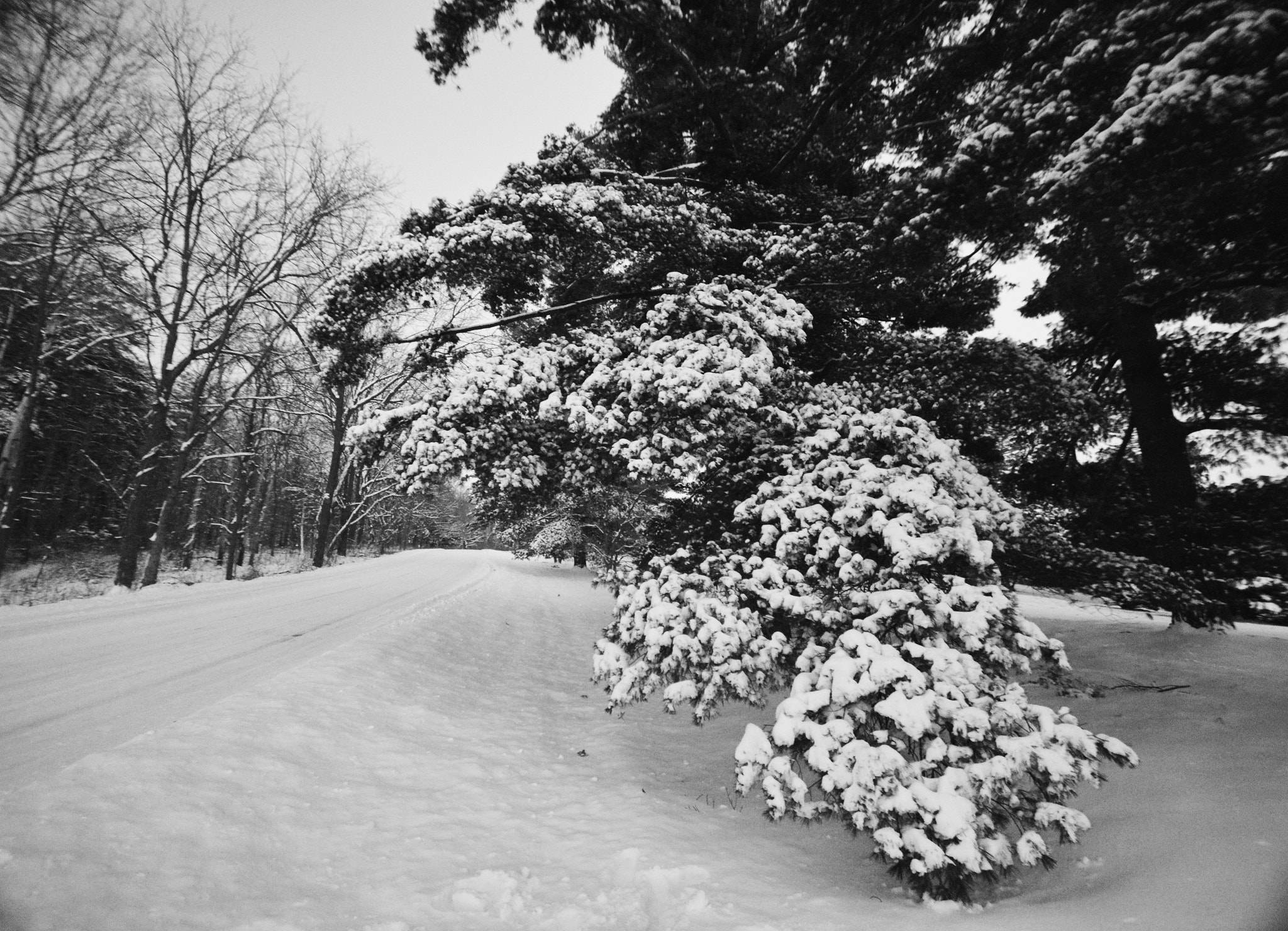 Nikon D7100 sample photo. Winterscape photography