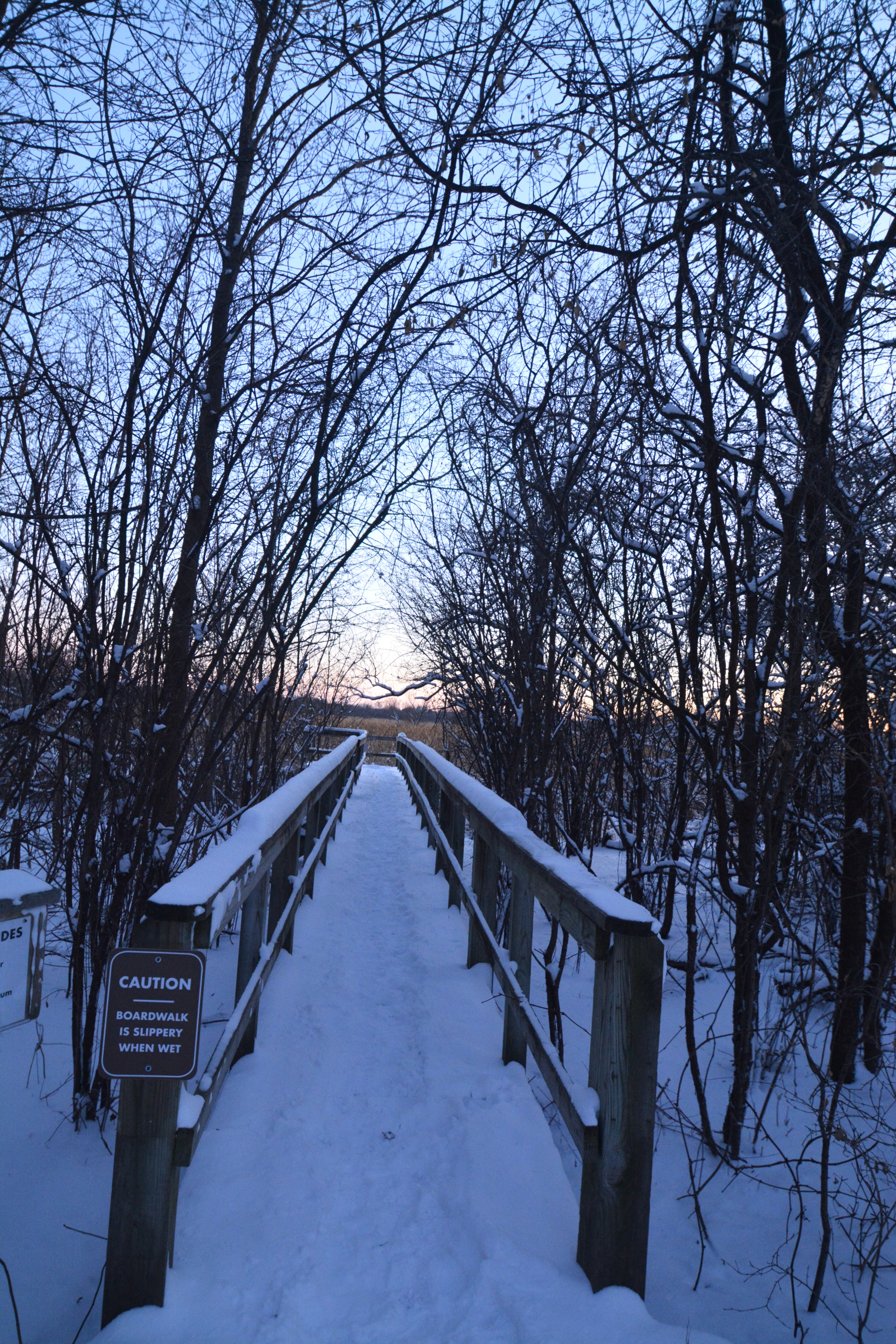 Nikon D7100 sample photo. Winterscape photography