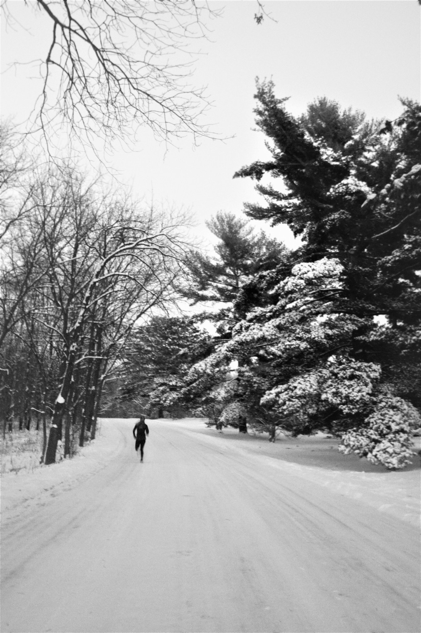 Nikon D7100 sample photo. Winterscape photography