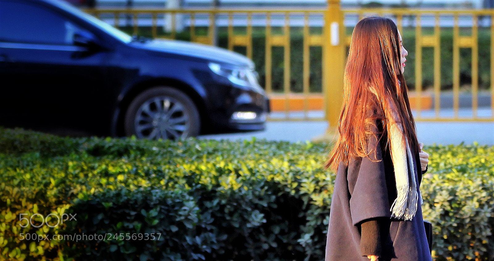 Canon EOS 50D sample photo. 冬天的阳光总是短暂 photography