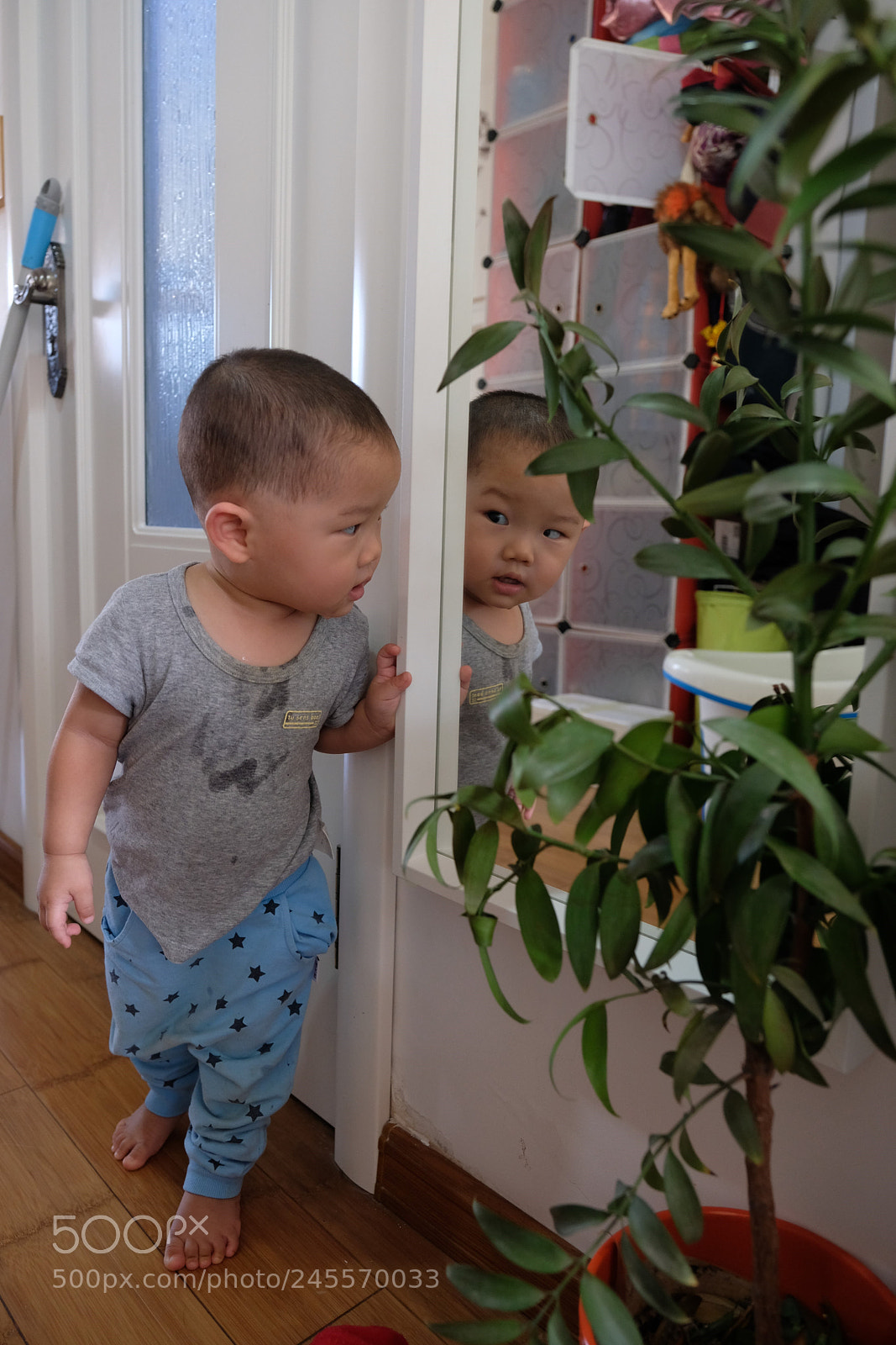 Fujifilm X-T2 sample photo. Dscf photography