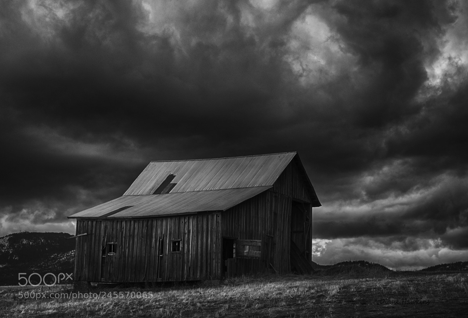 Nikon D3200 sample photo. Bw barn photography