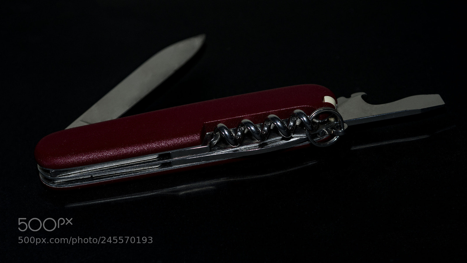Nikon D500 sample photo. Swiss knife photography