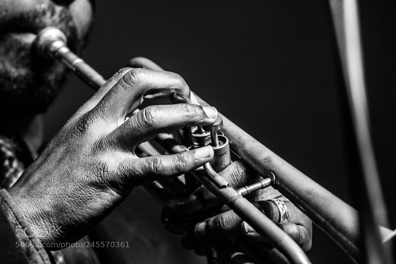 Nikon D810 sample photo. Trumpet player photography