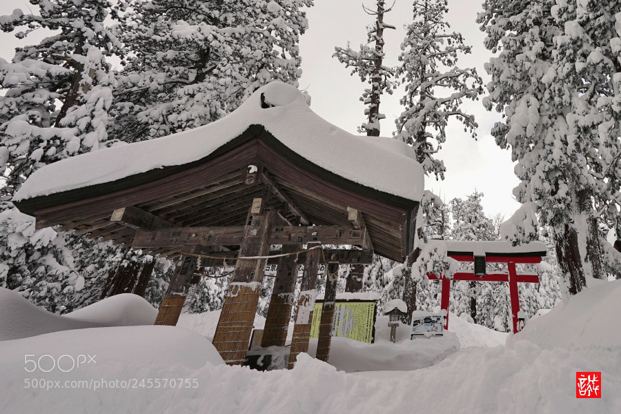 Sony a7 II sample photo. Silver world 0130 photography