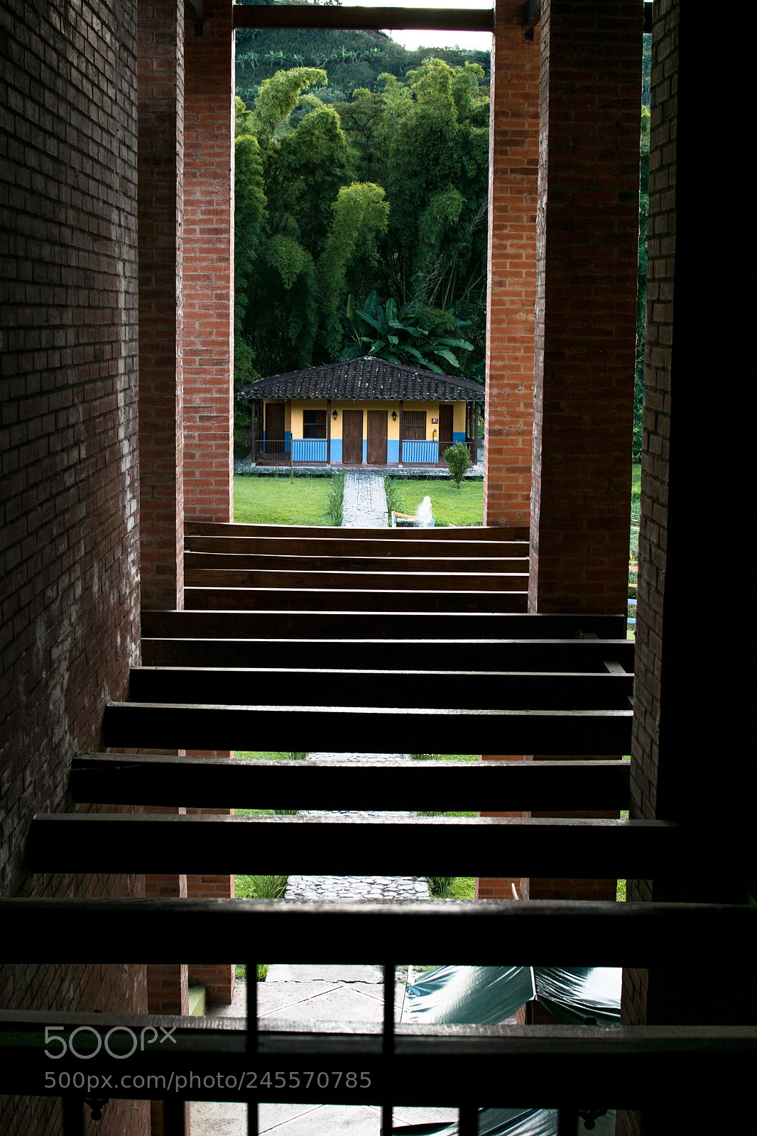 Nikon D5500 sample photo. Parallel photography