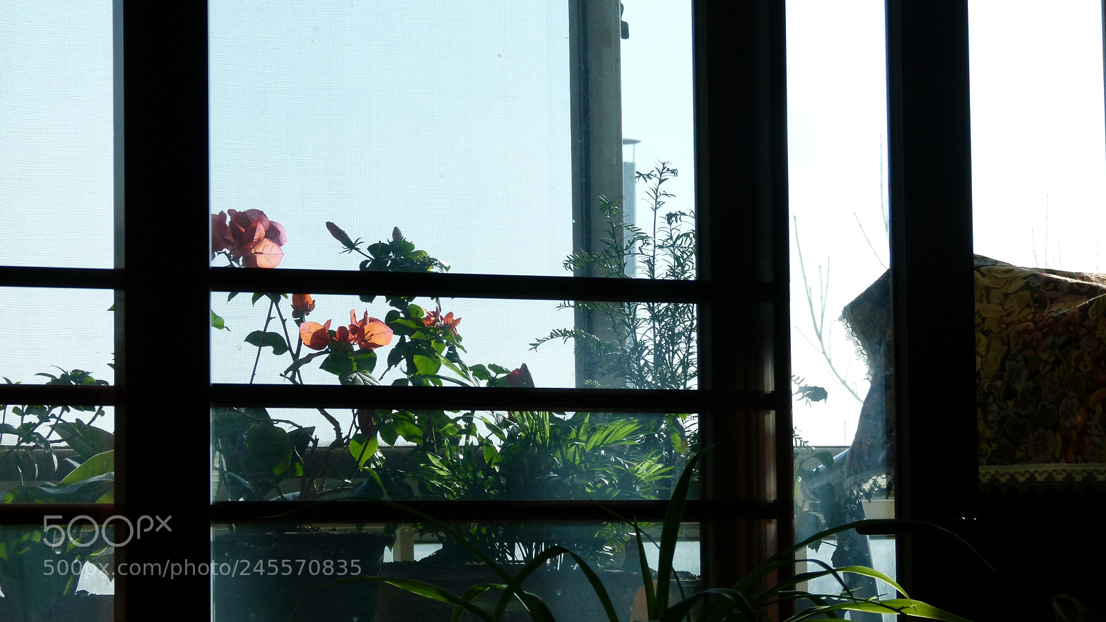 Leica V-Lux 2 sample photo. Untitled photography