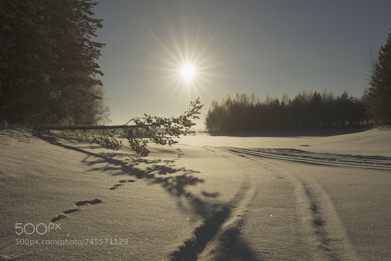 Canon EOS 5DS sample photo. Winter lake photography